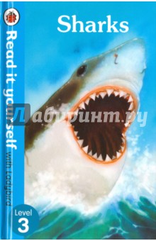 Обложка книги Sharks, Baker Chris