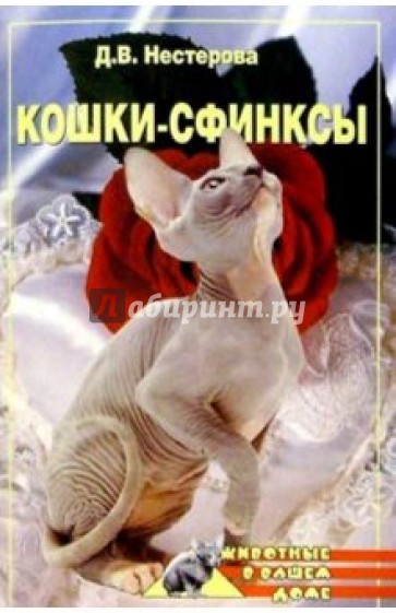 Кошки-сфинксы