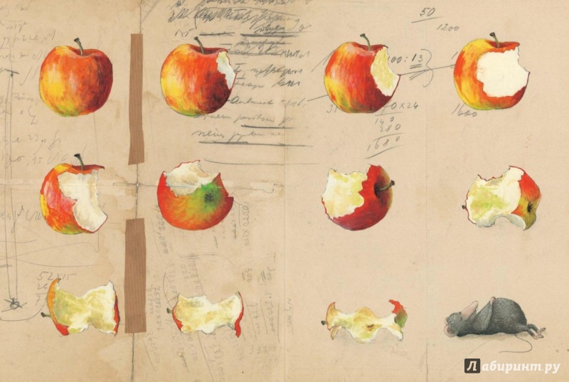 Иллюстрация 1 из 15 для Мышиная война - Хельга Банш | Лабиринт - книги. Источник: Лабиринт