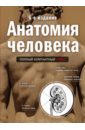 Анатомия человека. Полный компактный атлас - Боянович Юрий Владимирович