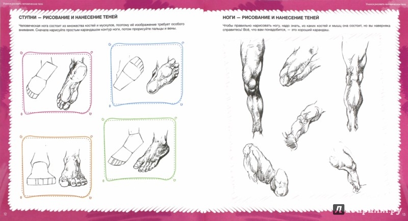 Иллюстрация 1 из 6 для Учимся рисовать человеческое тело | Лабиринт - книги. Источник: Лабиринт