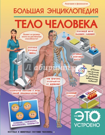 Большая энциклопедия. Тело человека