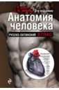 Анатомия человека. Русско-латинский атлас - Билич Габриэль Лазаревич, Зигалова Елена Юрьевна