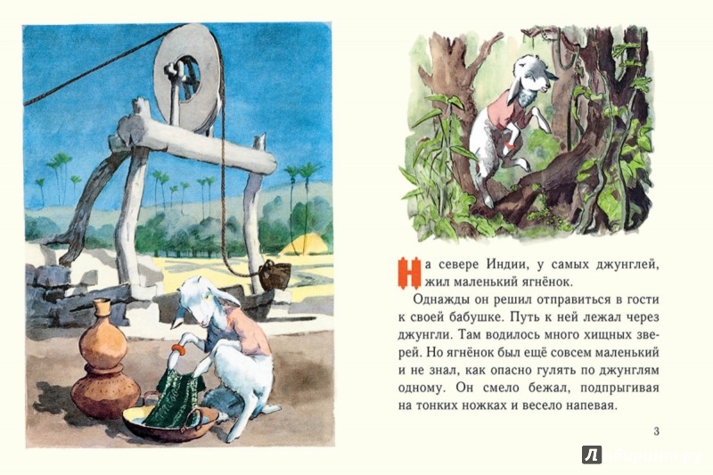 Иллюстрация 2 из 42 для Умный ягненок | Лабиринт - книги. Источник: Лабиринт