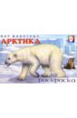 Мир животных: Арктика (раскраска)