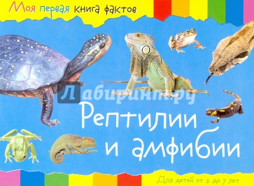 Рептилии и амфибии