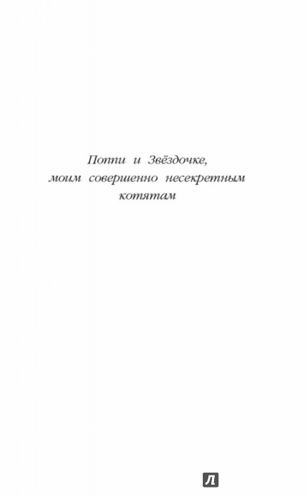 Котенок кэти или секрет в шкафу краткое содержание