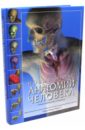 Новый атлас анатомии человека голубкова галина анатольевна атлас анатомии человека