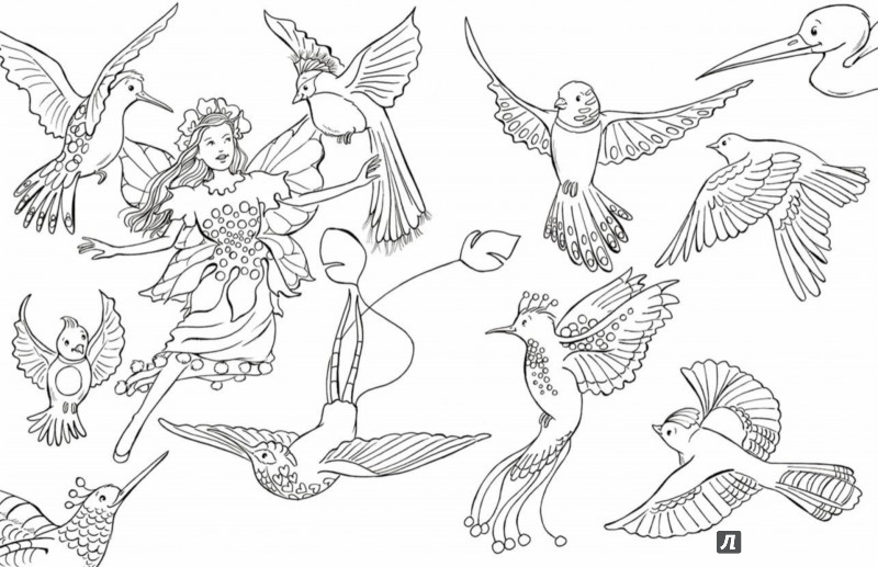 Иллюстрация 1 из 34 для Сказочные феи. Раскраска | Лабиринт - книги. Источник: Лабиринт