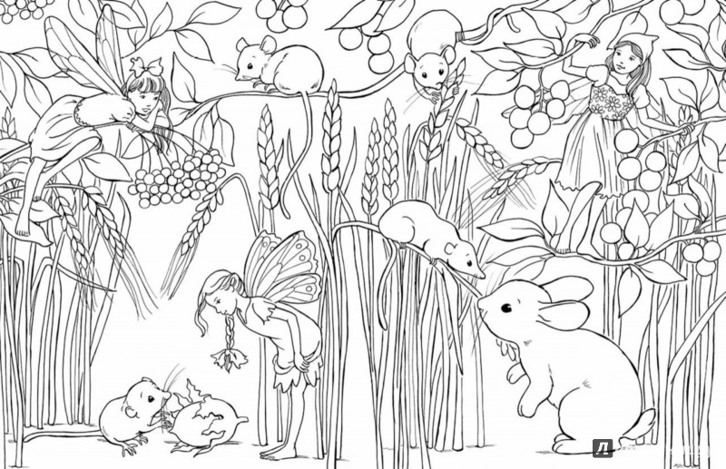 Иллюстрация 3 из 34 для Сказочные феи. Раскраска | Лабиринт - книги. Источник: Лабиринт