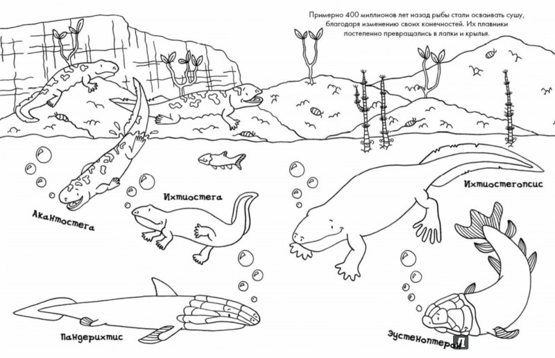 Иллюстрация 1 из 17 для Цветные динозаврики. Раскраска | Лабиринт - книги. Источник: Лабиринт