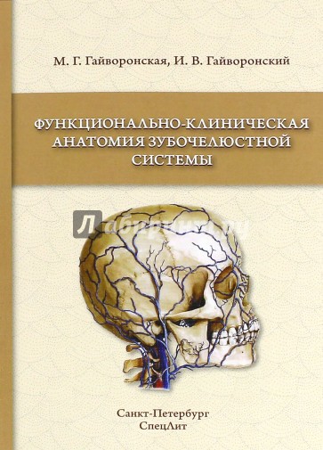 Функционально-клиническая анатомия зубочелюстной системы