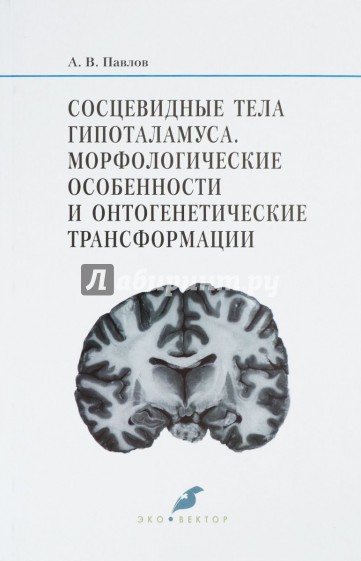 Сосцевидные тела гипоталамуса. Морфологические особенности и онтогенетические трансформации