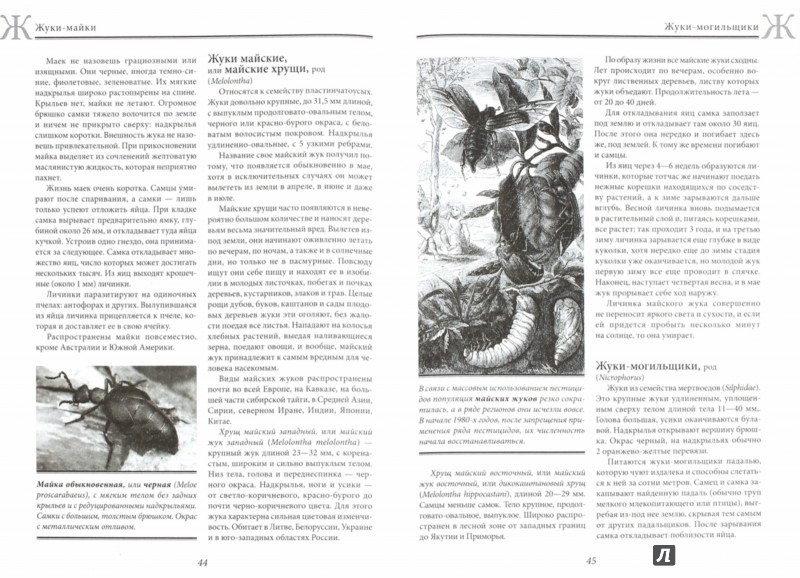 Иллюстрация 1 из 10 для Жизнь животных. Насекомые - Альфред Брем | Лабиринт - книги. Источник: Лабиринт
