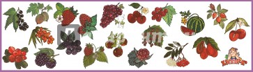 Набор наклеек "Садовые и лесные ягоды" (Н-1406)