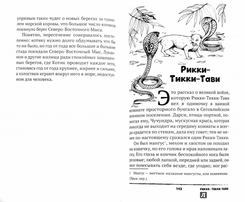 Иллюстрация 1 из 6 для Книга Джунглей. Сборник рассказов - Редьярд Киплинг | Лабиринт - книги. Источник: Лабиринт