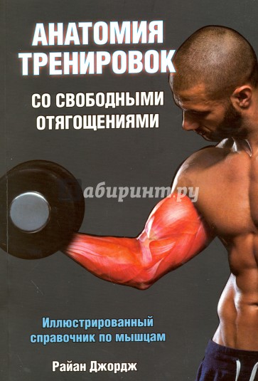 Анатомия тренировок со свободными отягощениями