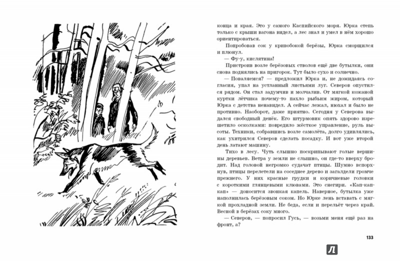 Иллюстрация 5 из 29 для Юрка Гусь - Вильям Козлов | Лабиринт - книги. Источник: Лабиринт