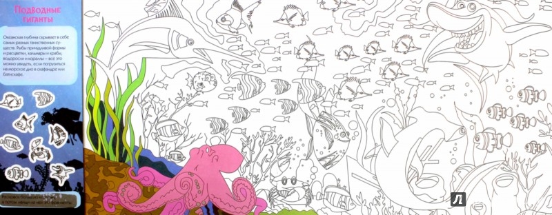 Иллюстрация 1 из 6 для Найди и раскрась. Животные со всего света - Марина Ульяненкова | Лабиринт - книги. Источник: Лабиринт