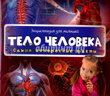 Тело человека