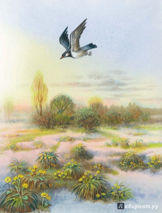 Иллюстрация 8 из 37 для Стихи детям - Афанасий Фет | Лабиринт - книги. Источник: Лабиринт