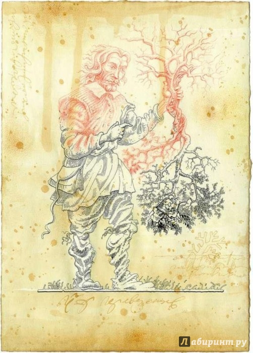 Иллюстрация 1 из 14 для Аврора, или Утренняя заря в восхождении - Якоб Бёме | Лабиринт - книги. Источник: Лабиринт