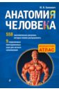 Анатомия человека со страницами для раскрашивания - Боянович Юрий Владимирович