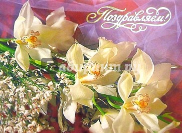 10-1624/Поздр./открытка музыкальная