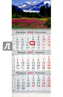 .Календарь квартальный малый на 2017 год 