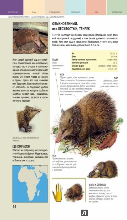 Иллюстрация 13 из 14 для Животные. Все обитатели нашей планеты | Лабиринт - книги. Источник: Лабиринт