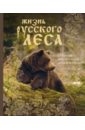 Митителло Ксения Борисовна Жизнь русского леса. Большая подарочная энциклопедия (медведь)