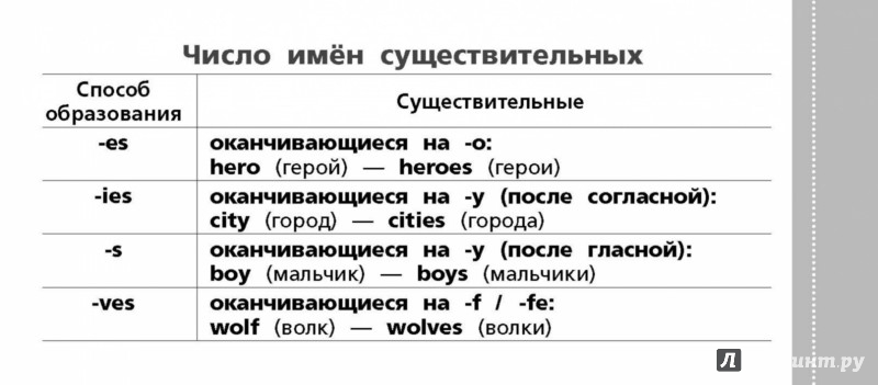 Стоимость Английского Языка Для Начинающих