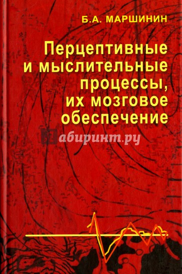 Перцептивные и мыслительные процессы, их мозговое обеспечение