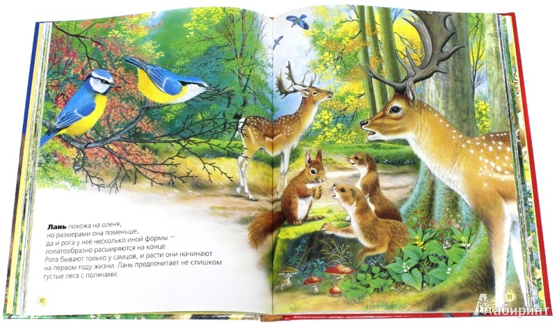 Иллюстрация 6 из 19 для Животные нашей планеты - Пере Ровира | Лабиринт - книги. Источник: Лабиринт