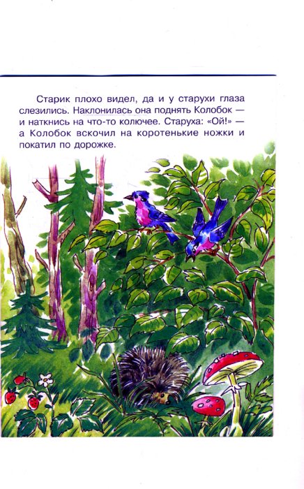 Иллюстрация 1 из 4 для Лесной колобок - колючий бок - Виталий Бианки | Лабиринт - книги. Источник: Лабиринт