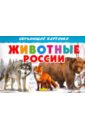 Карточки. Животные России карточки животные европы