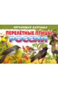 Карточки Перелетные птицы России обучающие карточки перелетные птицы