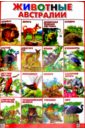 Плакат Животные Австралии (550х770) набор животные австралии 4 10 см