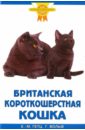 Гетц Ева-Мария Британская короткошерстная кошка фигурка экзотическая короткошерстная кошка s
