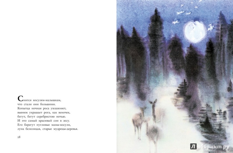 Иллюстрация 6 из 37 для О чём разговаривают зверюшки ночью - Люба Штиплова | Лабиринт - книги. Источник: Лабиринт