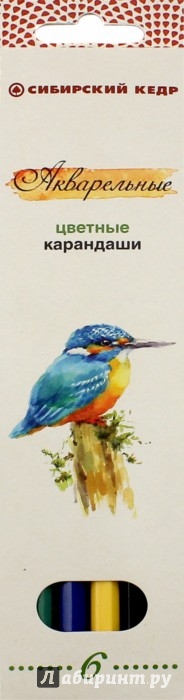 Иллюстрация 1 из 7 для Карандаши цветные, акварельные "Птицы Сибири", 6 цветов (СК083/06) | Лабиринт - канцтовы. Источник: Лабиринт