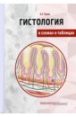 Гистология в схемах и таблицах. Учебное пособие. Цветной атлас - Гунин Андрей Германович