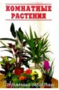Комнатные растения/Современный справочник бонсаи для начинающих