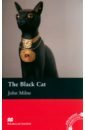 Milne John Black Cat barry sebastian the whereabouts of eneas mcnulty