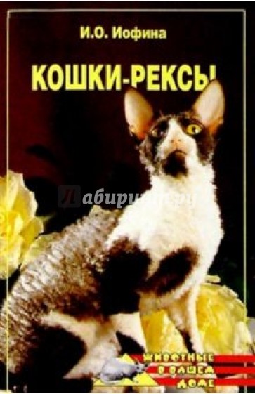 Кошки-рексы