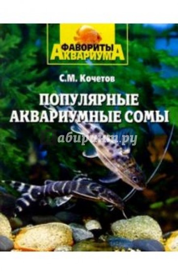 Популярные аквариумные сомы