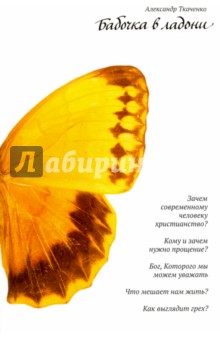Обложка книги Бабочка в ладони, Ткаченко Александр Борисович