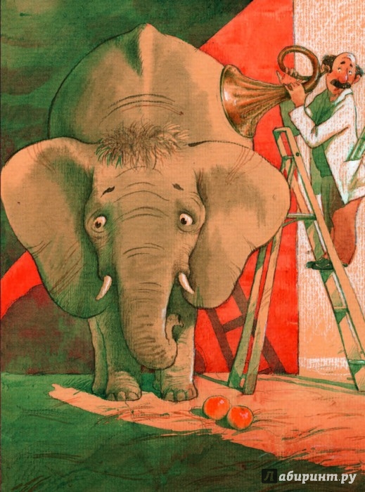 Иллюстрация 1 из 2 для Про Рим, слона и кошку… | Лабиринт - книги. Источник: Лабиринт