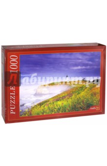 Puzzle-1000 