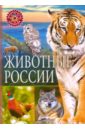 Животные России плакат животные россии 555х774